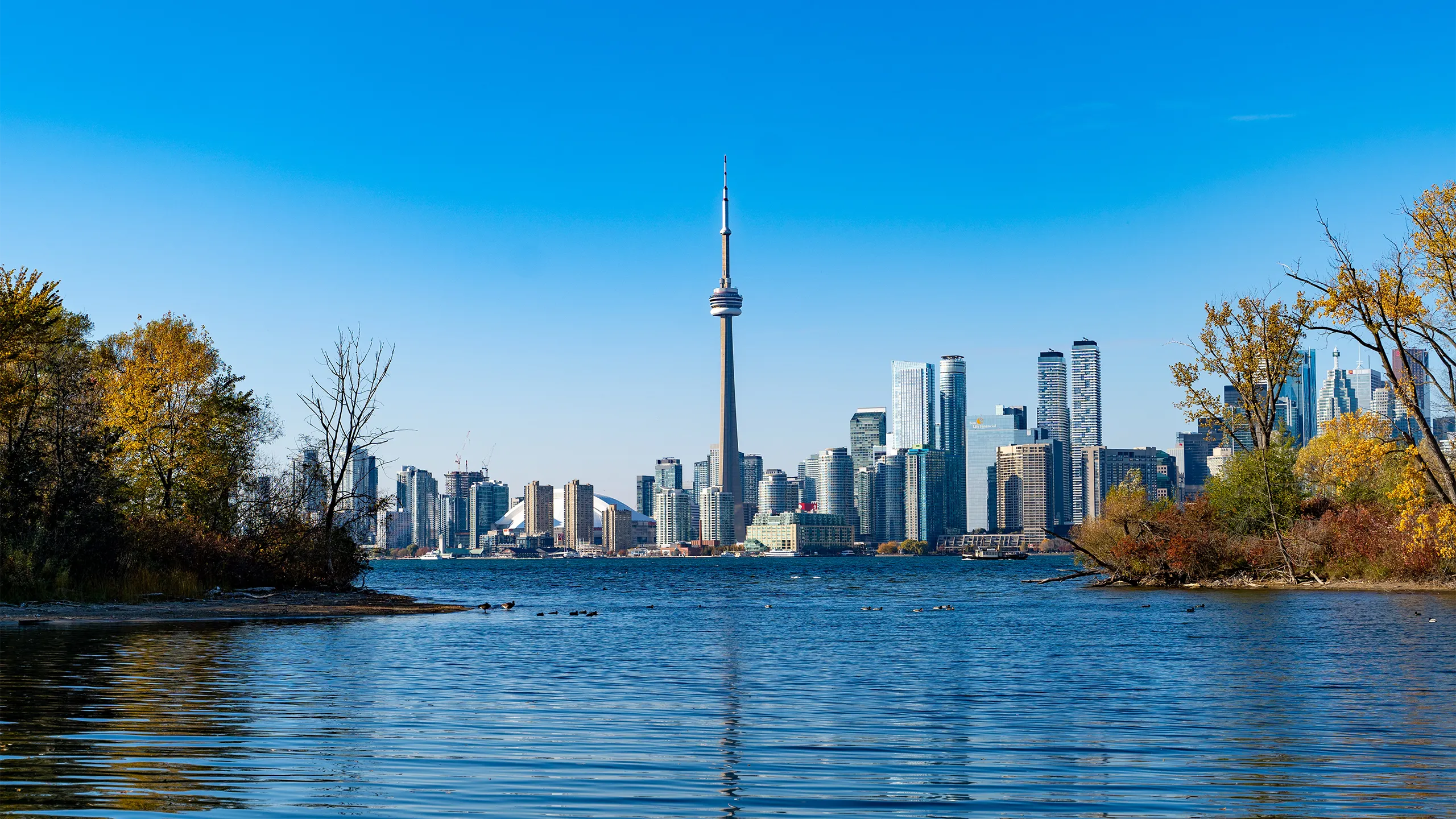Toronto city skyline from Center Island in the summer, Ontario, Canada