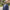 Portrait of Segun Faniran, Forensic Planning and Delay, Middle East, outside in front of grass and bushes with tall buildings behind.