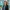 Portrait of Astrid Boumans, Director, Europe, inside a glass office with plants
