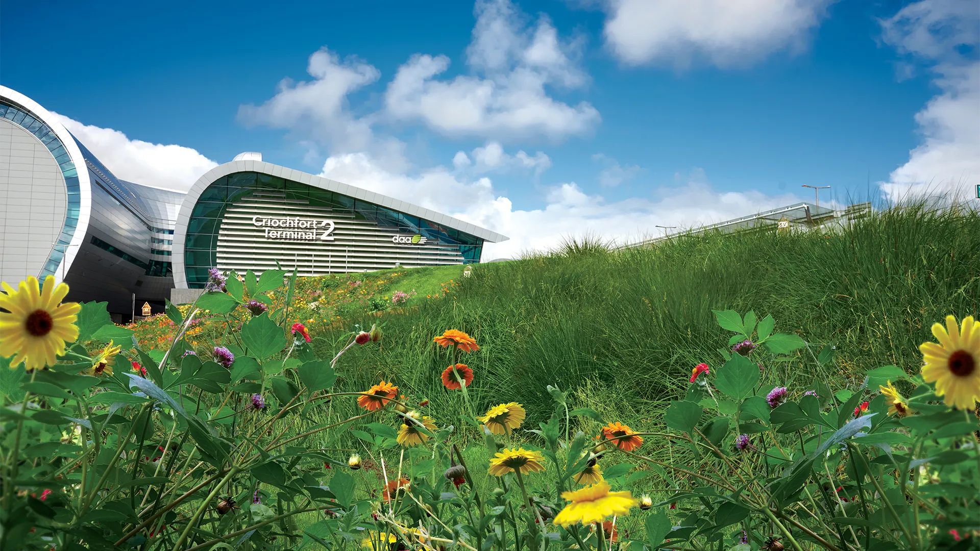 Daa IDP, Ireland, Modern building with green grass and sunflowers