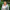 Portrait of Alex Beardmore, Senior Vice President, San Francisco, outside in front of bushes and nature.