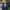 Portrait of Nima Aase, Managing Director, Scandinavia, outside in front street with trees and tall buildings,