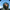 RAF Photographic Competition 2022