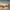 Montevideo skyline at sunset